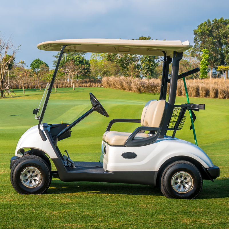 2 Person Cart 2 Person Cart